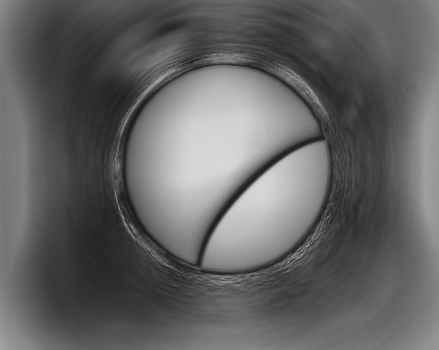X0000098140852200804171118