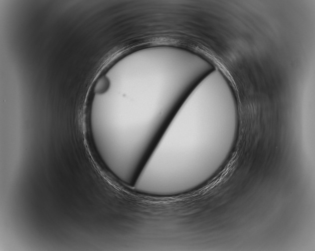 X0000098140853200804171118