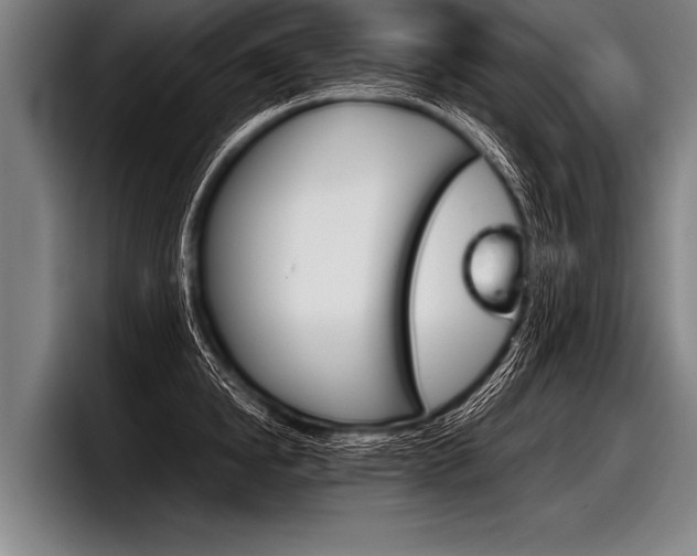 X0000098140854200804171118