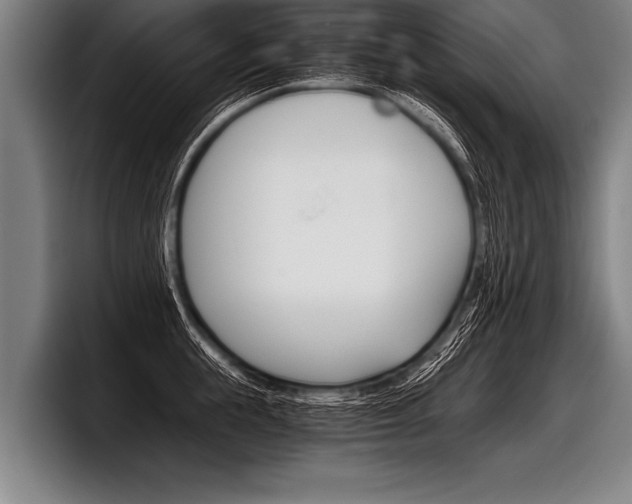 X0000098140855200804171119