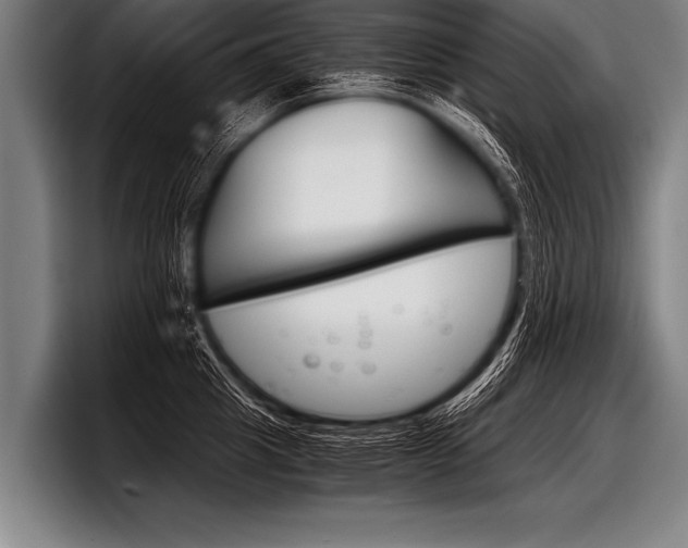 X0000098140857200804171119