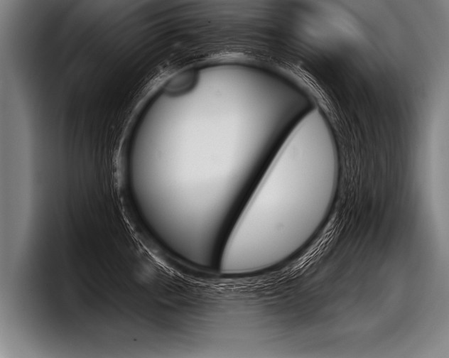 X0000098140858200804171119