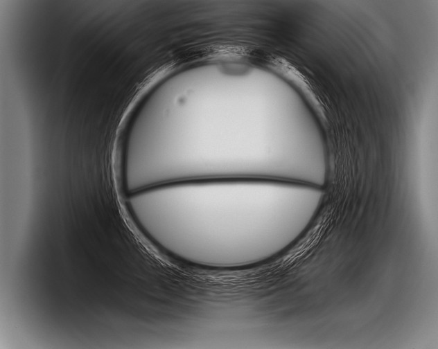 X0000098140859200804171119