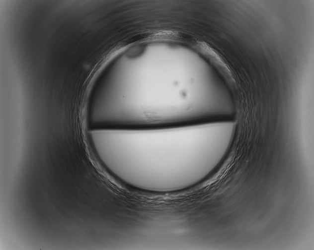 X0000098140860200804171119