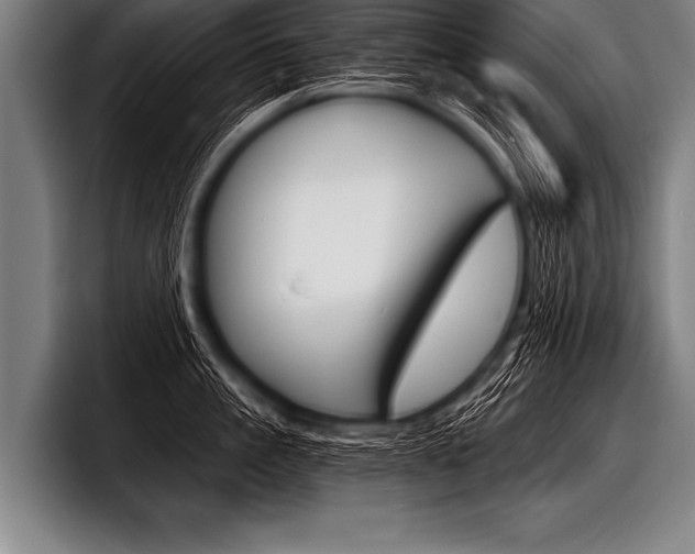 X0000098140861200804171119