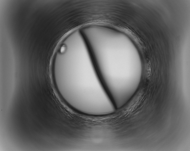 X0000098140862200804171119