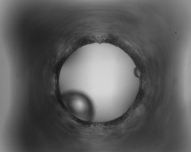 X0000098140866200804171118