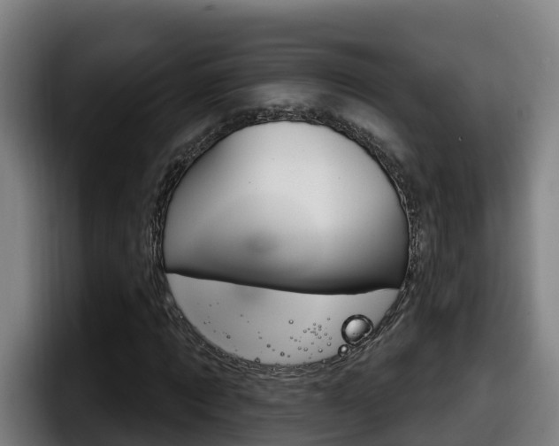 X0000098140869200804171118
