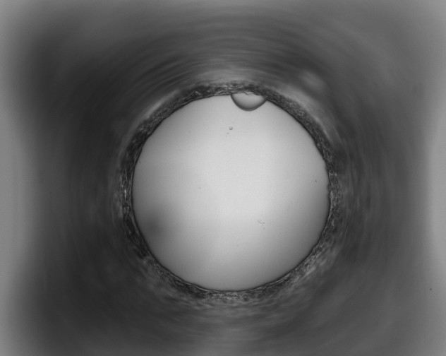 X0000098140871200804171118