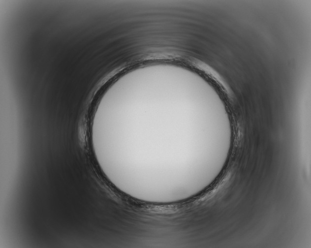 X0000098140874200804171118
