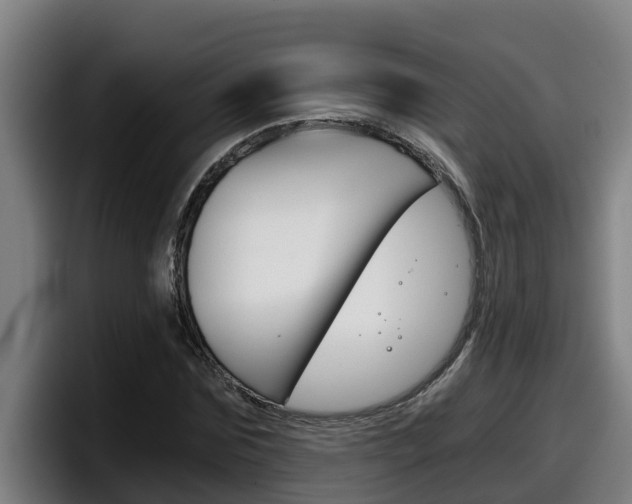 X0000098140875200804171118