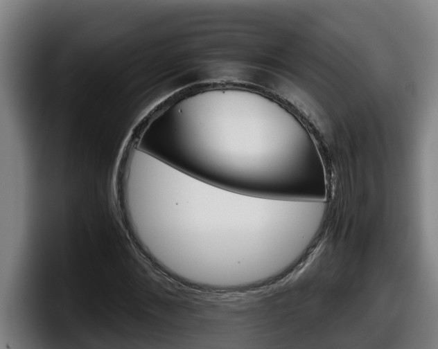 X0000098140876200804171118
