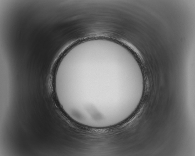 X0000098140878200804171118