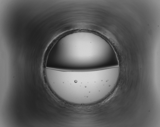 X0000098140880200804171118