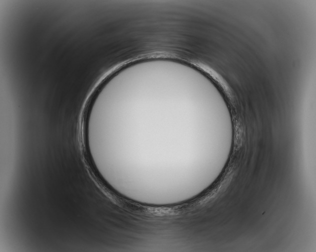 X0000098140886200804171118