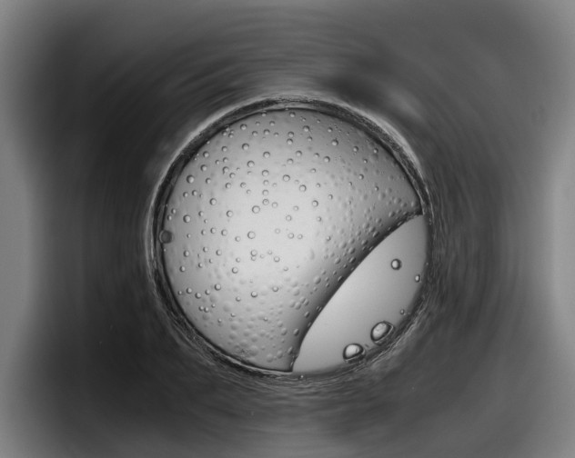 X0000098140887200804171118