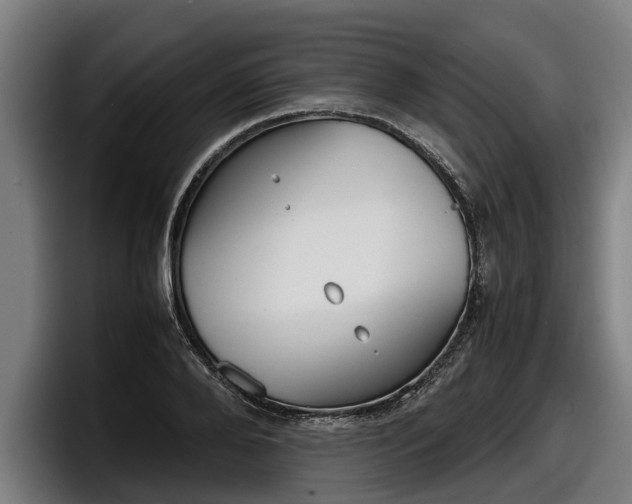 X0000098140888200804171118