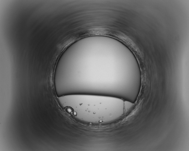 X0000098140889200804171118
