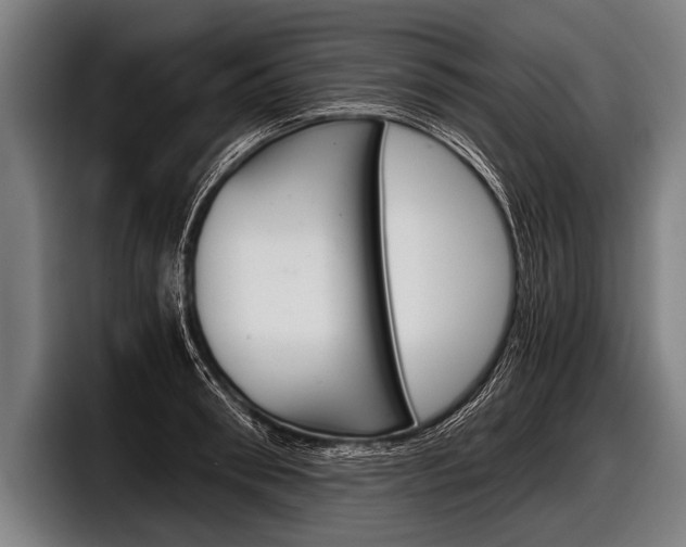 X0000098140898200804171117