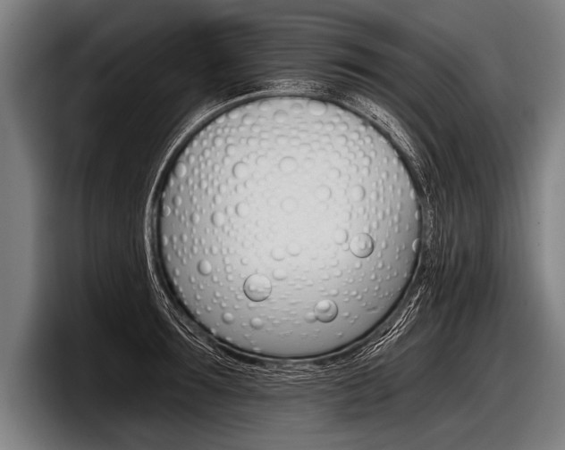 X0000098140899200804171117