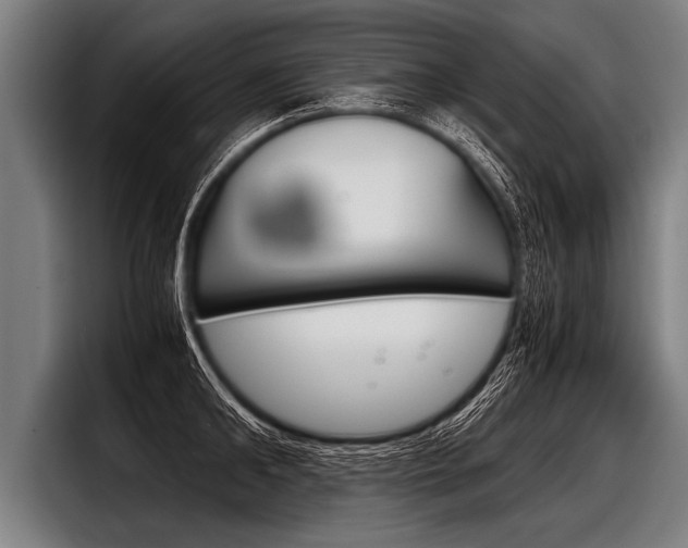 X0000098140902200804171117
