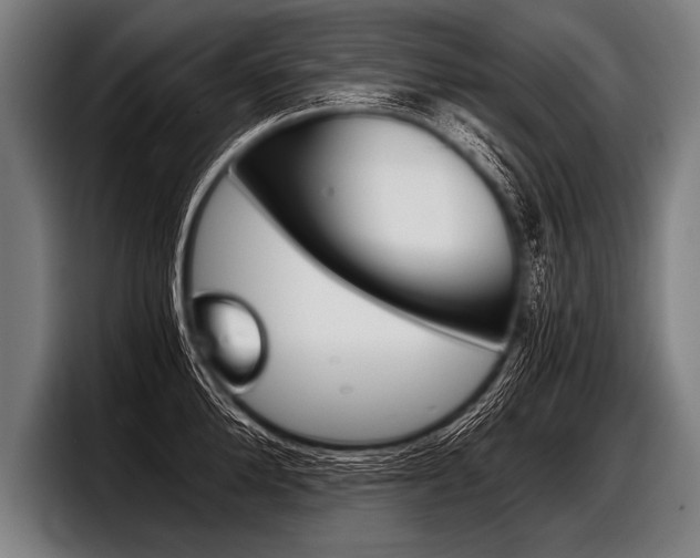 X0000098140904200804171117
