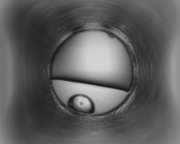 X0000098140905200804171117