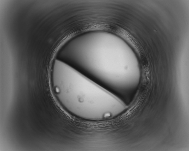 X0000098140906200804171117