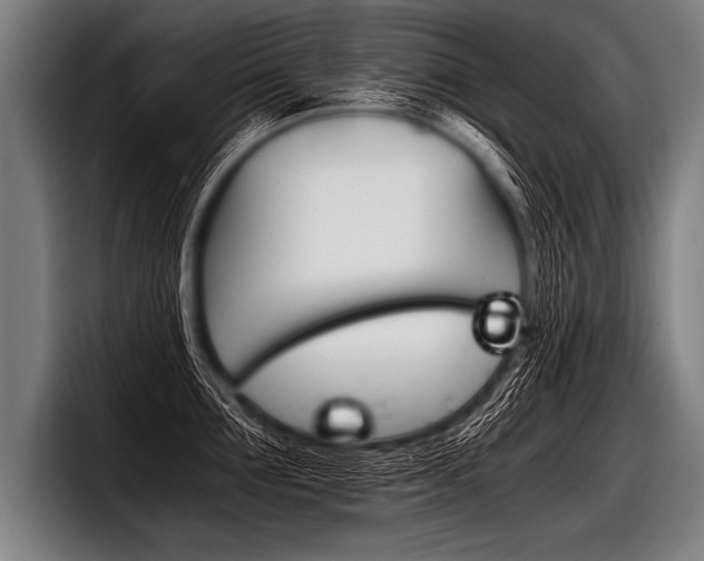 X0000098140907200804171117