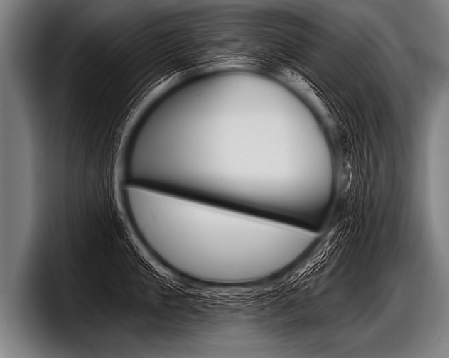 X0000098140909200804171117
