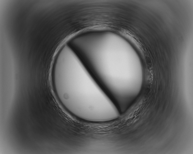 X0000098140910200804171117