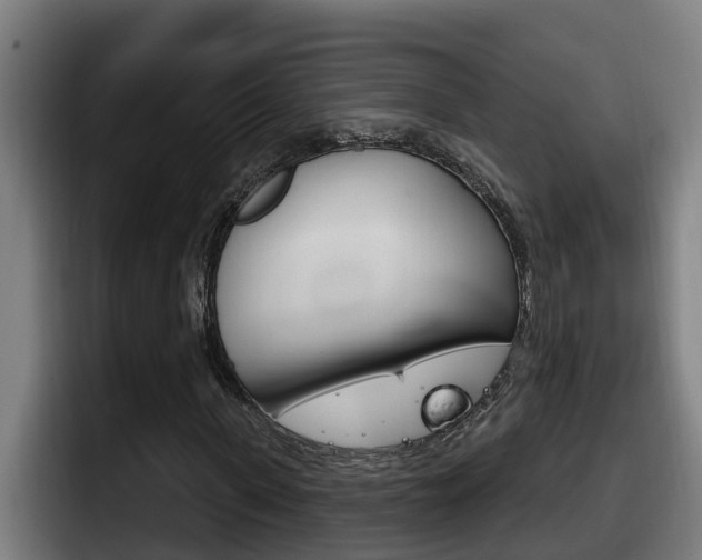 X0000098140915200804171117