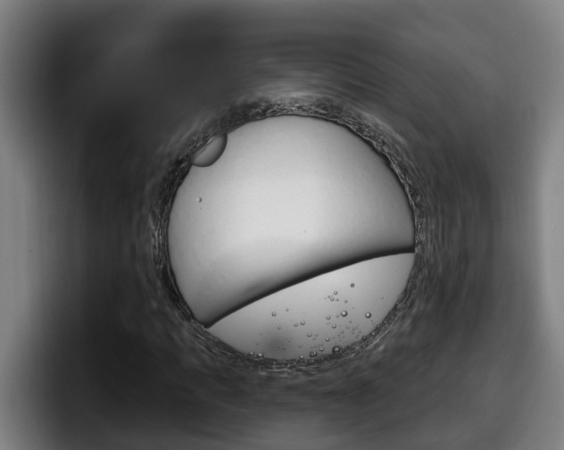 X0000098140917200804171117
