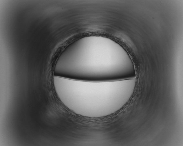 X0000098140920200804171117