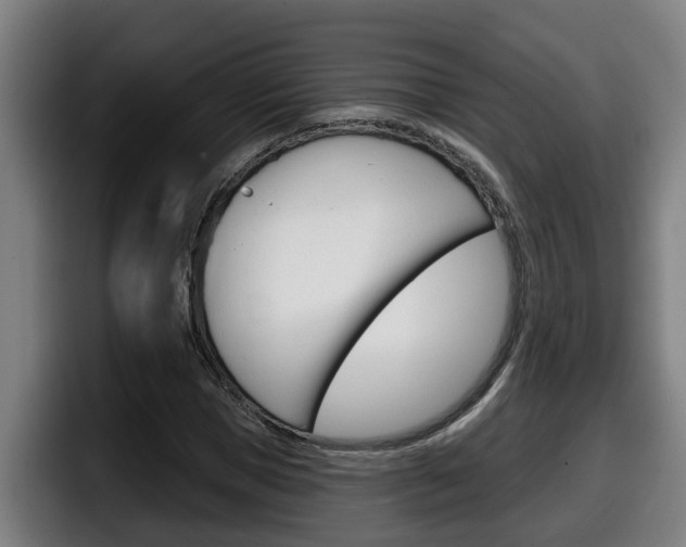X0000098140921200804171117