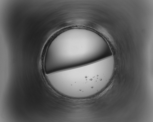 X0000098140924200804171117