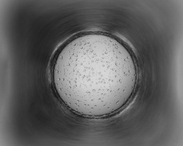 X0000098140925200804171117