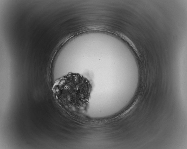 X0000098140930200804171117