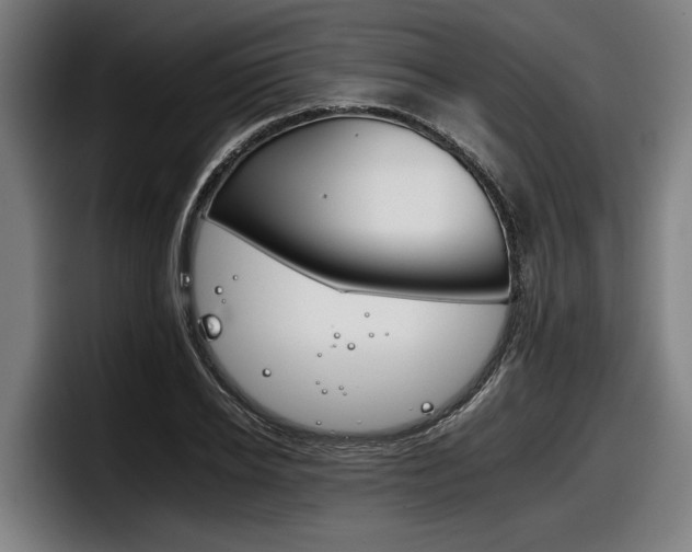 X0000098140934200804171117