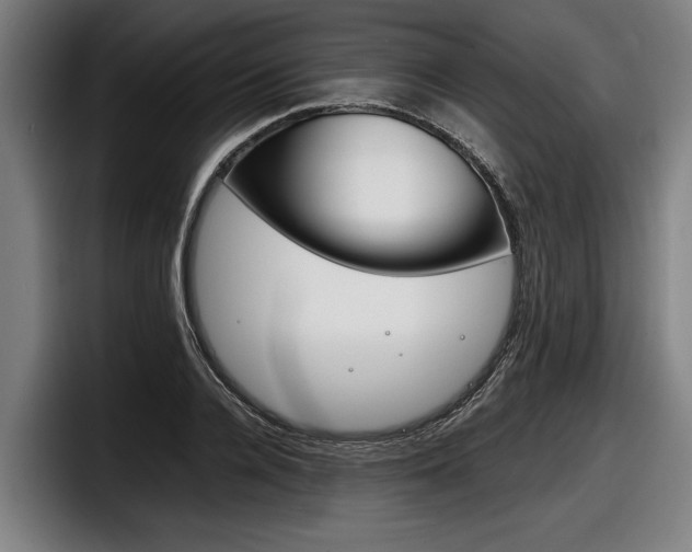 X0000098140936200804171117