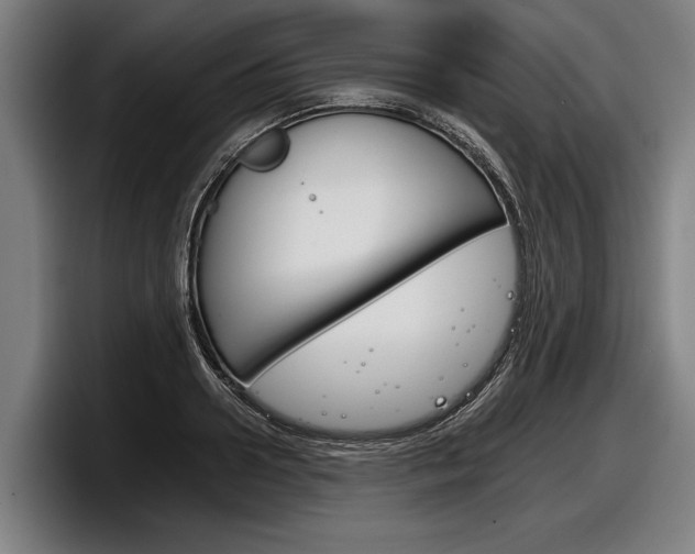 X0000098140938200804171117