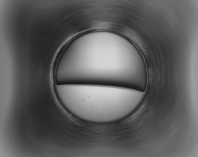 X0000098140939200804171117