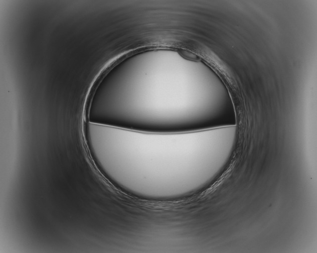 X0000098140940200804171117