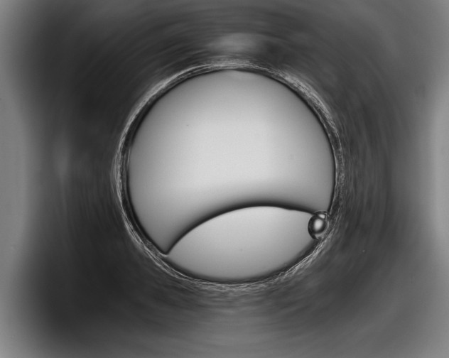 X0000098140941200804171117
