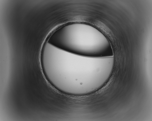 X0000098140942200804171117