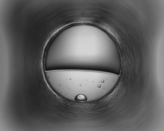 X0000098140943200804171117