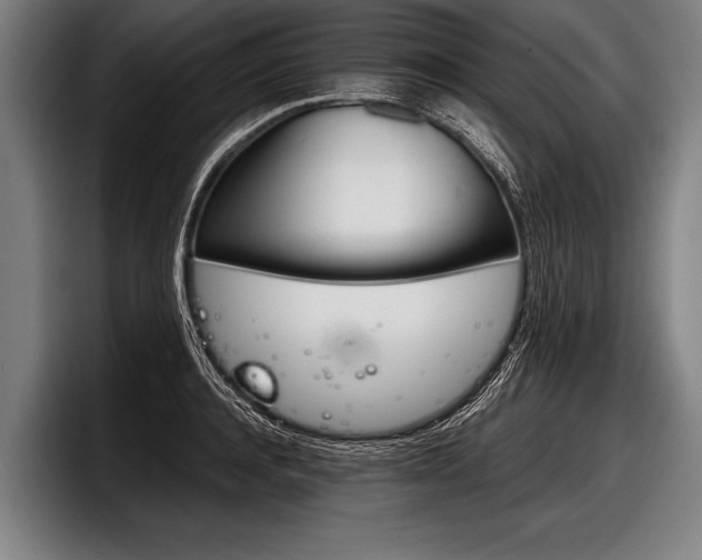 X0000098140944200804171117