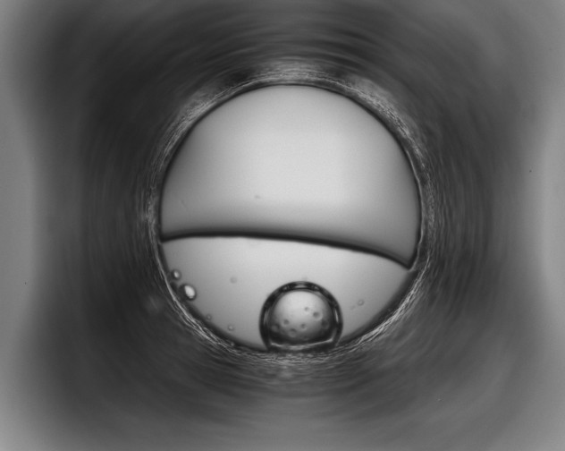 X0000098140945200804171117