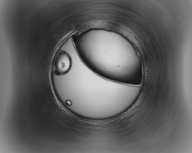 X0000098140946200804171117