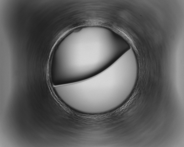 X0000098140948200804171117